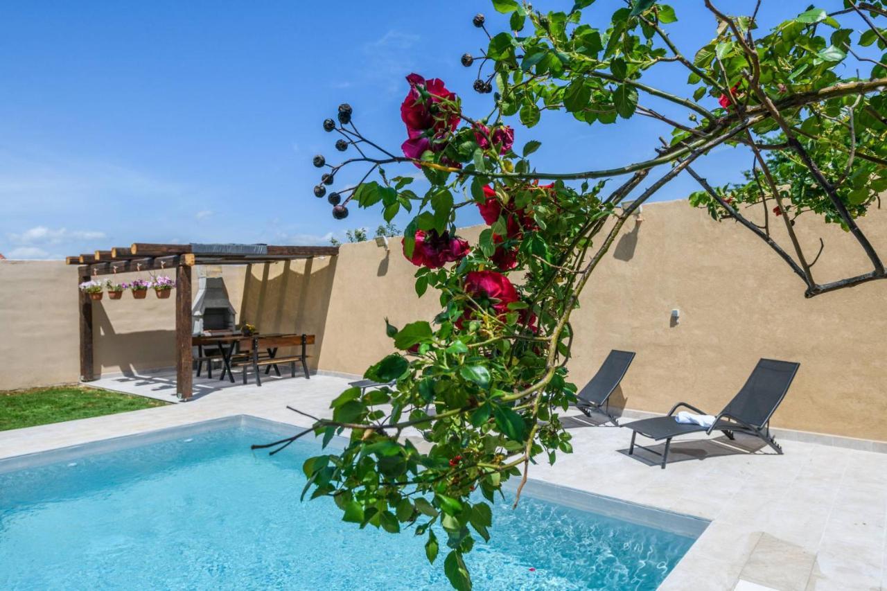 Holiday House Boky Vodnjan Εξωτερικό φωτογραφία